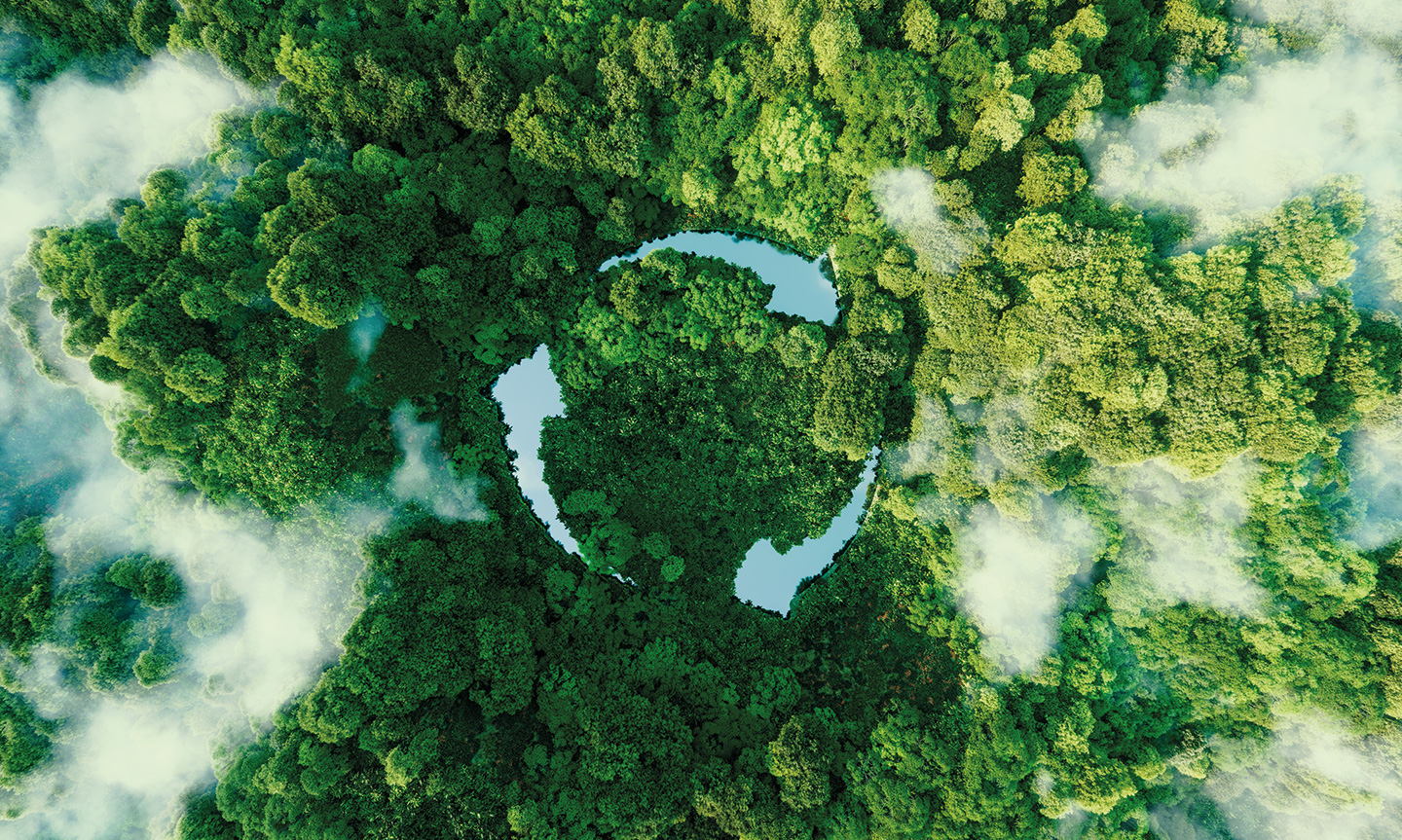 Sustainability